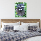 Mischievous Raccoon Leinwanddruck (Insitu (Schlafzimmer))