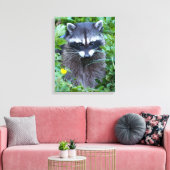 Mischievous Raccoon Leinwanddruck (Insitu (Wohnzimmer))