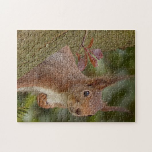 Mischievous Red Squirrel Puzzle (Horizontal)