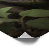 Mischling Goblin Lurking in einem Spuk Wald Poster (Ecke)