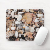 MischMuschelnmäusematte Mousepad (Mit Mouse)