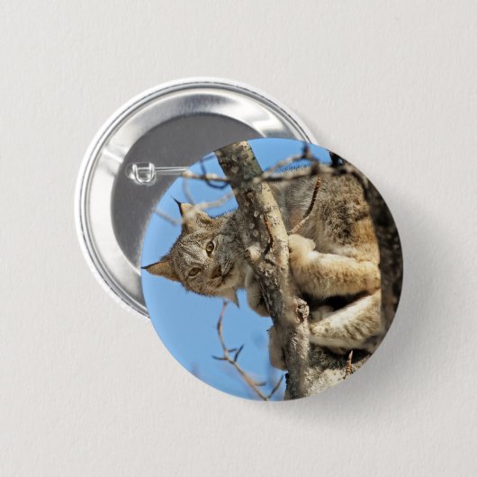 Mischous Lynx Button (Vorne & Hinten)