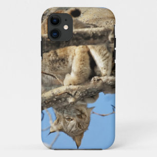 Mischous Lynx Case-Mate iPhone Hülle