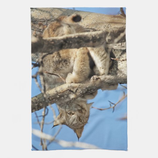 Mischous Lynx Geschirrtuch (Vertikal)