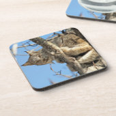 Mischous Lynx Getränkeuntersetzer (Linke Seite)