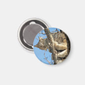 Mischous Lynx Magnet (Vorderseite/Rückseite)