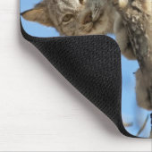 Mischous Lynx Mousepad (Ecke)
