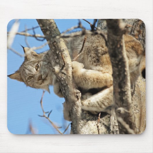 Mischous Lynx Mousepad (Vorne)