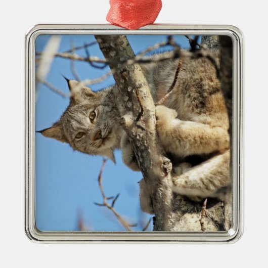 Mischous Lynx Ornament Aus Metall (Vorne)