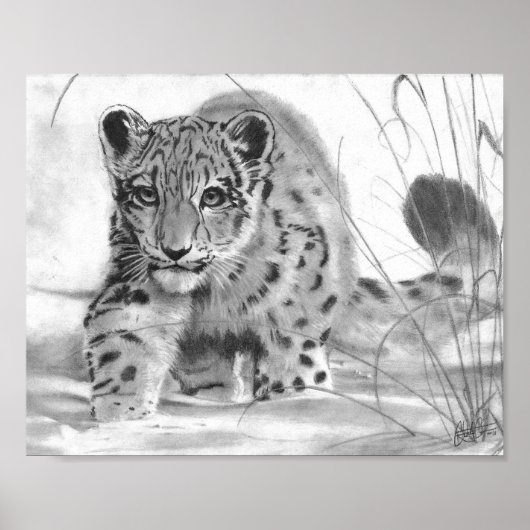 Mischous Poster (Vorne)