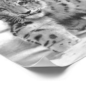 Mischous Poster (Ecke)