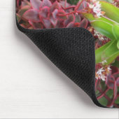 Mischsucculents mousepad (Ecke)