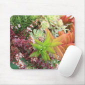 Mischsucculents mousepad (Mit Mouse)