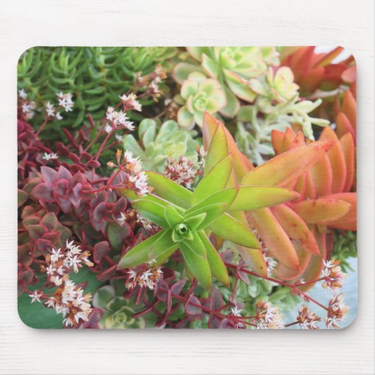 Mischsucculents mousepad (Vorne)