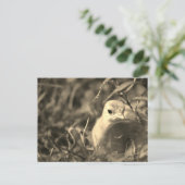 Mischung in - Postkarte (Stehend Vorderseite)