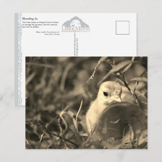 Mischung in - Postkarte (Vorne/Hinten)