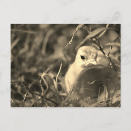 Mischung in - Postkarte