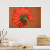 Mischung Poster (Küche)