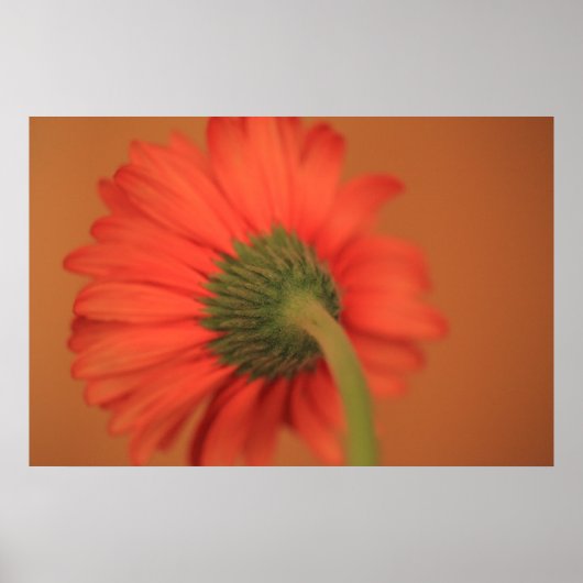 Mischung Poster (Vorne)