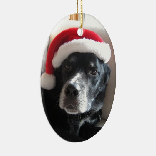 Mischung Sankt Hund-Labrador Rottweiler Keramikornament (Rechts)