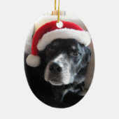 Mischung Sankt Hund-Labrador Rottweiler Keramikornament (Hinten)