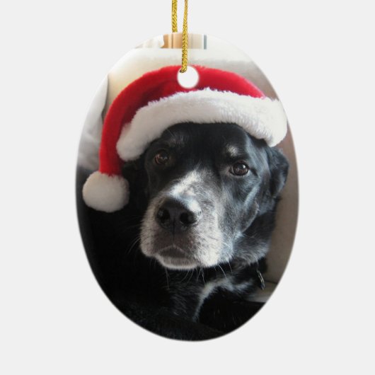 Mischung Sankt Hund-Labrador Rottweiler Keramikornament (Hinten)