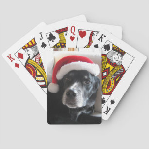 Mischung Sankt Hund-Labrador Rottweiler Spielkarten