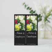 Mischung von Snapdragons Postkarte (Stehend Vorderseite)