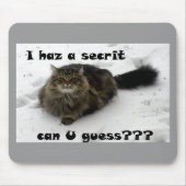 Mischvous Maine Coon im Schnee Mousepad (Vorne)