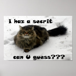 Mischvous Maine Coon im Schnee Poster