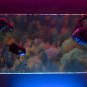 Mischwälder Schreibtischunterlage