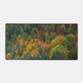 Mischwälder Schreibtischunterlage (Vorderseite)