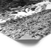 MISERIE, DIE EINE SEQUOIA c. 1900 Poster (Ecke)