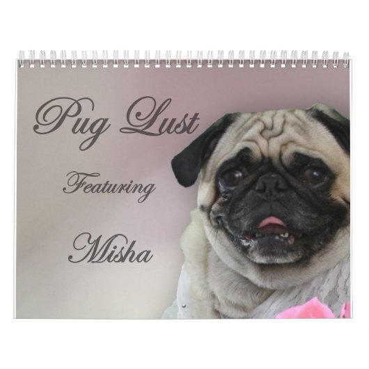 Misha für Mops-Lust, Mopswäschekalender Kalender (Titelbild)