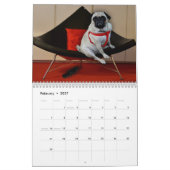 Misha für Mops-Lust, Mopswäschekalender Kalender (Feb 2027)