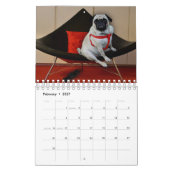 Misha für Mops-Lust-Wäsche-Kalender Kalender (Feb 2027)