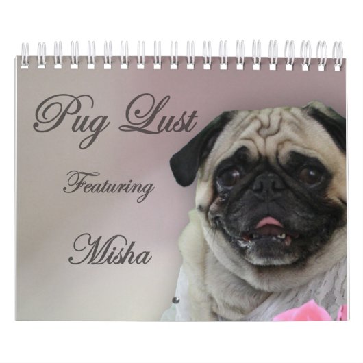 Misha für Mops-Lust-Wäsche-Kalender Kalender (Titelbild)