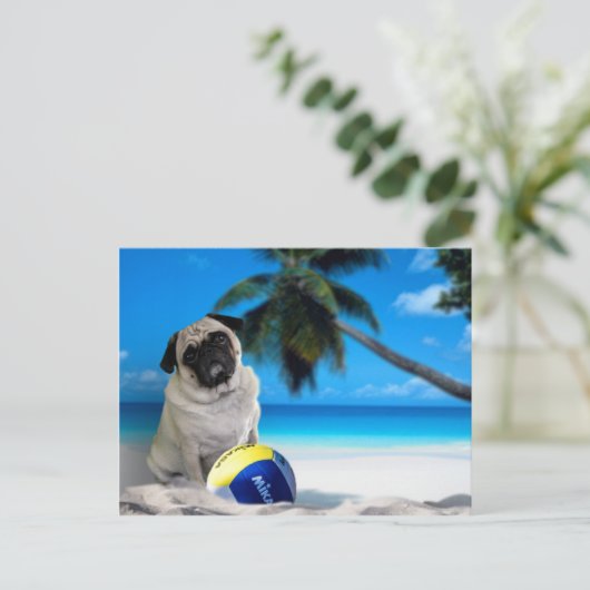 Misha Mops am Strand Postkarte (Stehend Vorderseite)