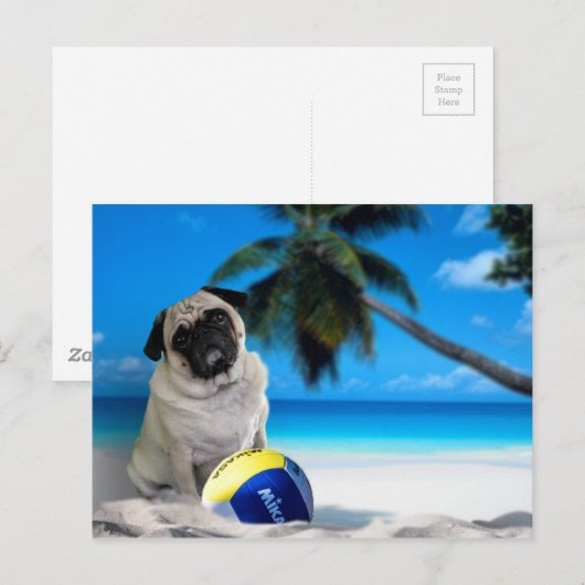 Misha Mops am Strand Postkarte (Vorne/Hinten)