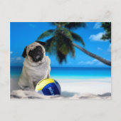 Misha Mops am Strand Postkarte (Vorderseite)