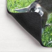 Misha Mousepad (Ecke)
