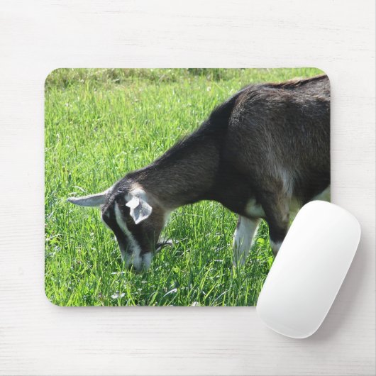 Misha Mousepad (Mit Mouse)