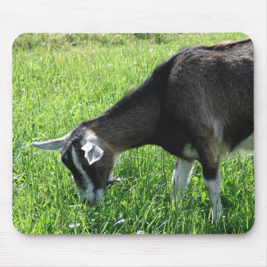 Misha Mousepad (Vorne)