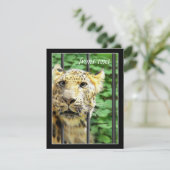 Mishap im Zoo Einladung (Stehend Vorderseite)