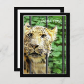 Mishap im Zoo Einladung (Vorne/Hinten)