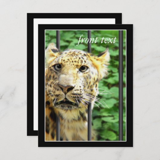 Mishap im Zoo Einladung (Vorne/Hinten)