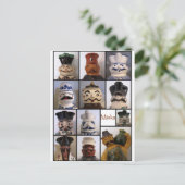 Miska Pitcher Post Card Postkarte (Stehend Vorderseite)