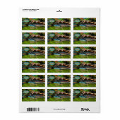 Mismaloya River 0331 Anschrift Adressaufkleber (Vorne)