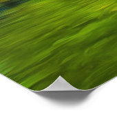 Mismaloya River 0331 Art Print Poster (Ecke)