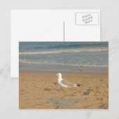 Misquamicut Beach Postkarte (Vorne/Hinten)